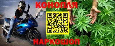 винт Аргун